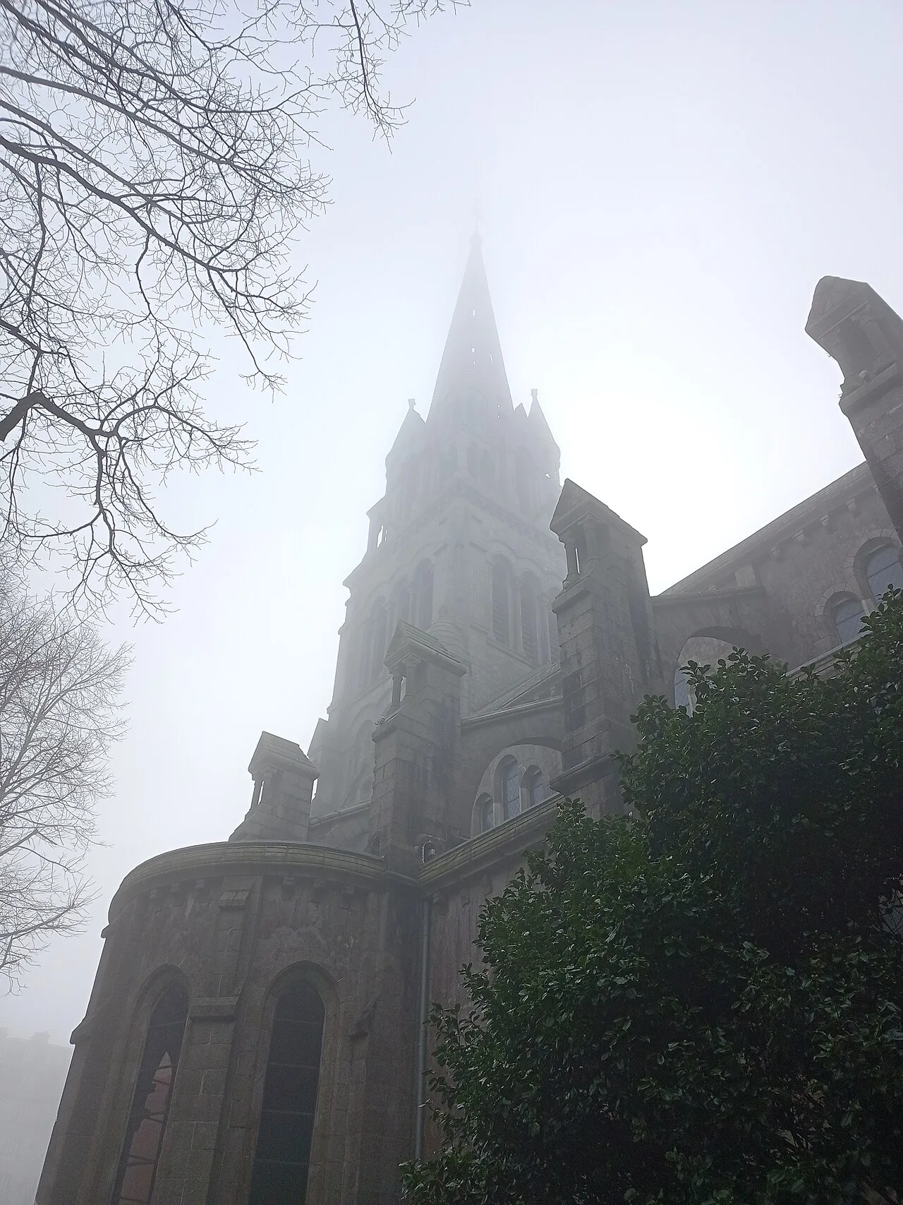 L’église Saint-Martin, dans le quartier des halles. Vue de contexte, distincte des étals du marché.